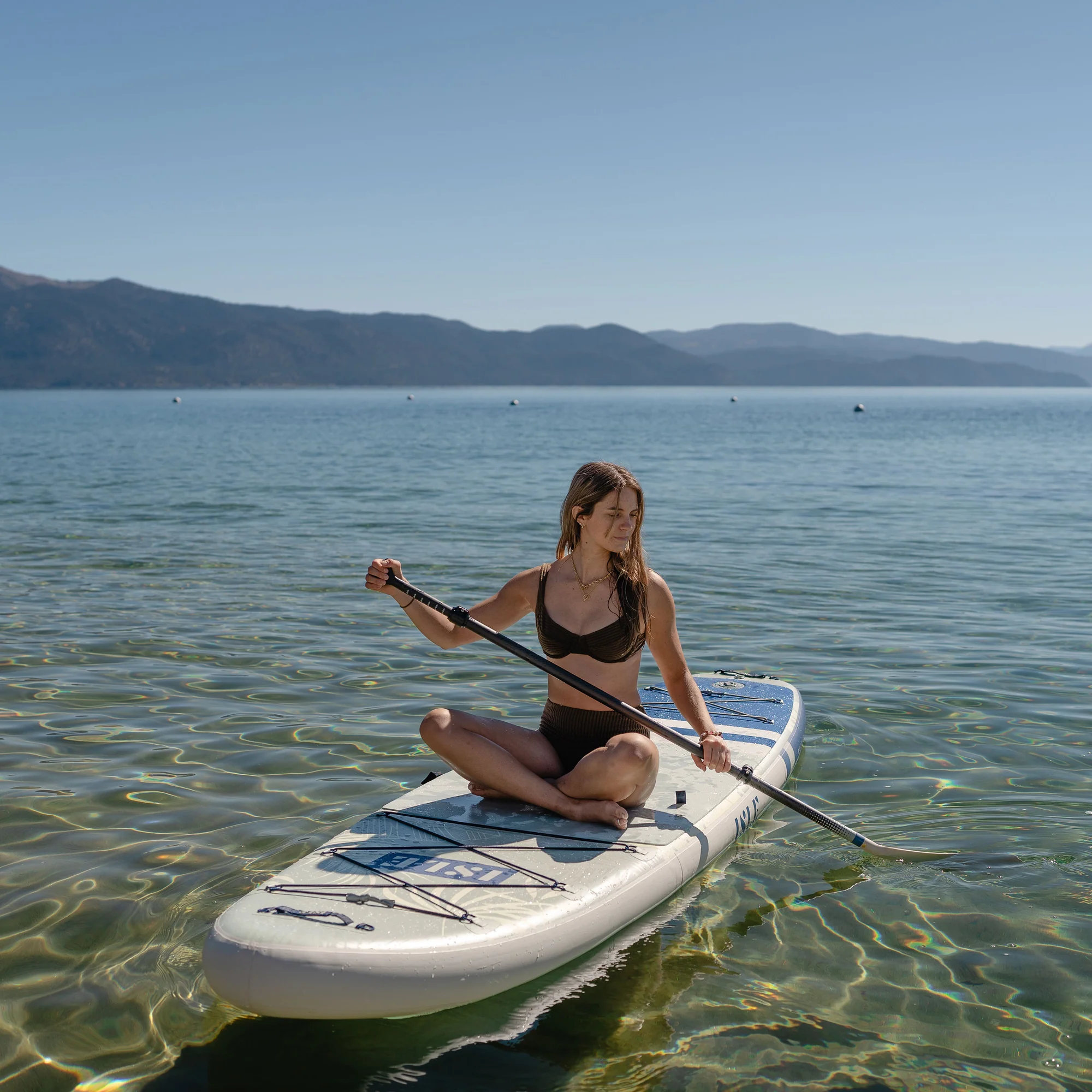 Pioneer 2 - Online Shop