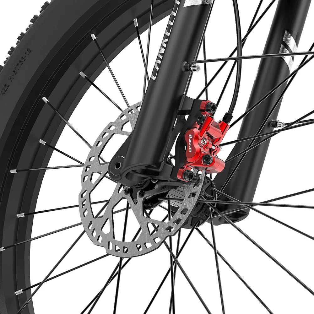 Lankeleisi MG600 Plus 2025 Version 26 Fat Bike 960Wh All Terrain SUV E-Bike with Torque Sensor 48V 20Ah Battery - Online Shop